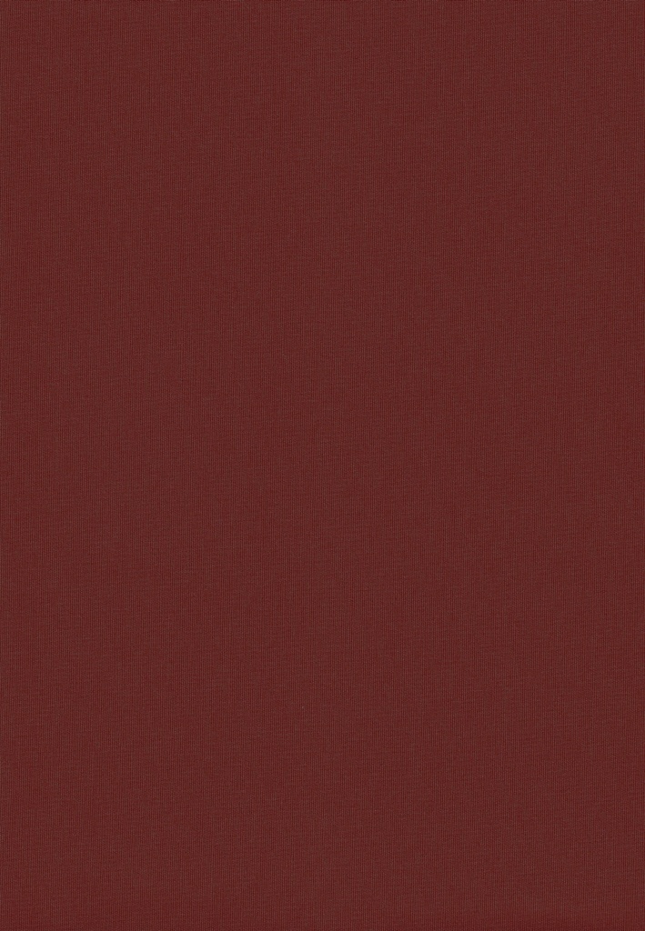 Loneta Jupiter C/20